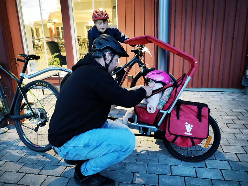 cykelvagn från Weehoo för kolfiberramar